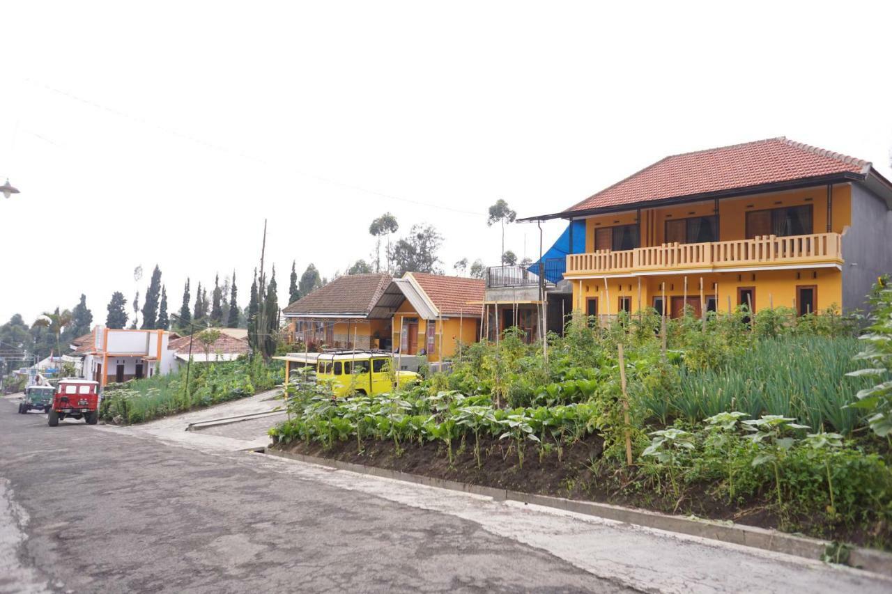 Homestay Lereng 브로모 외부 사진