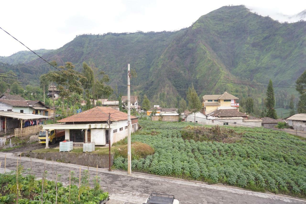 Homestay Lereng 브로모 외부 사진