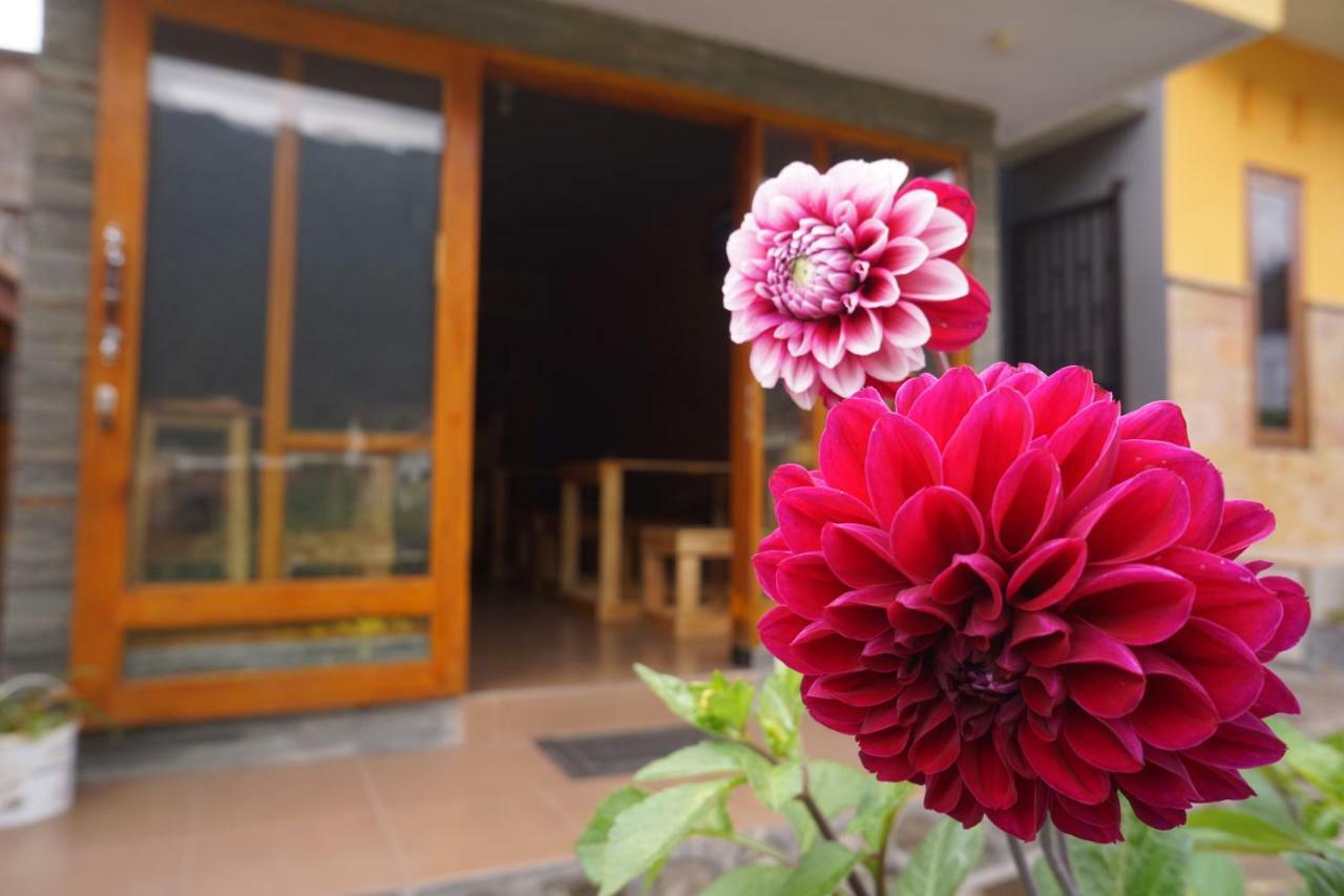 Homestay Lereng 브로모 외부 사진
